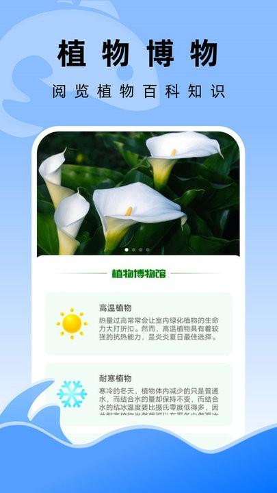飞鱼文件管家app手机版下载,飞鱼文件管家,工具app